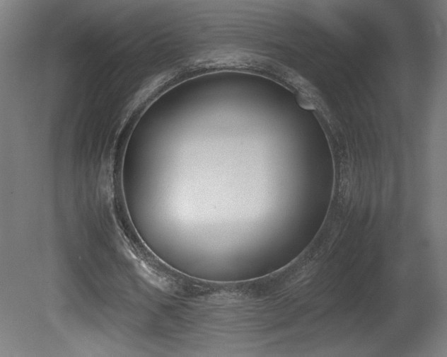 X0000081370578200701111550