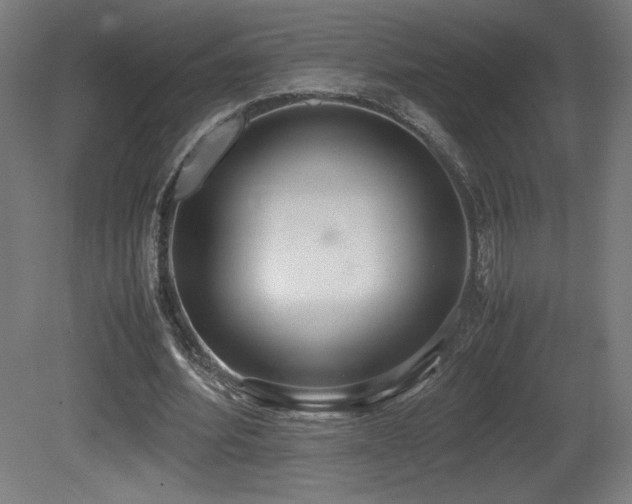 X0000081370580200701111550
