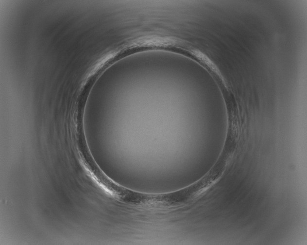 X0000081370581200701111550