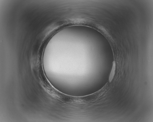 X0000081370583200701111550
