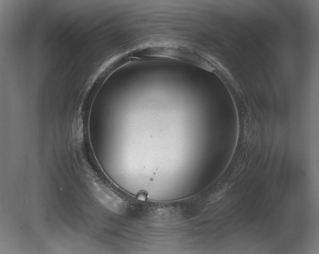 X0000081370584200701111550
