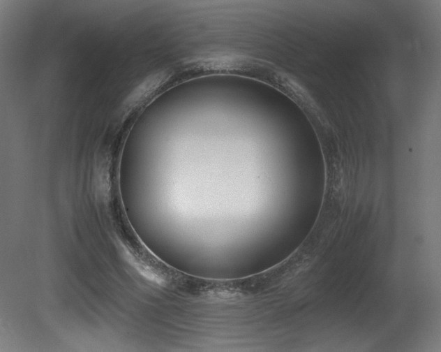 X0000081370586200701111550