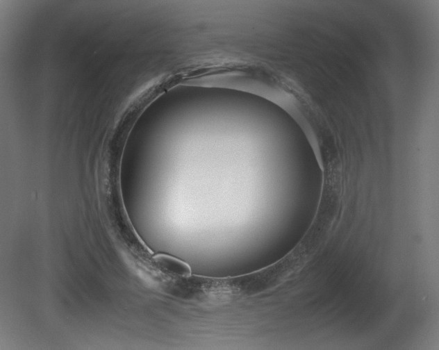 X0000081370587200701111550
