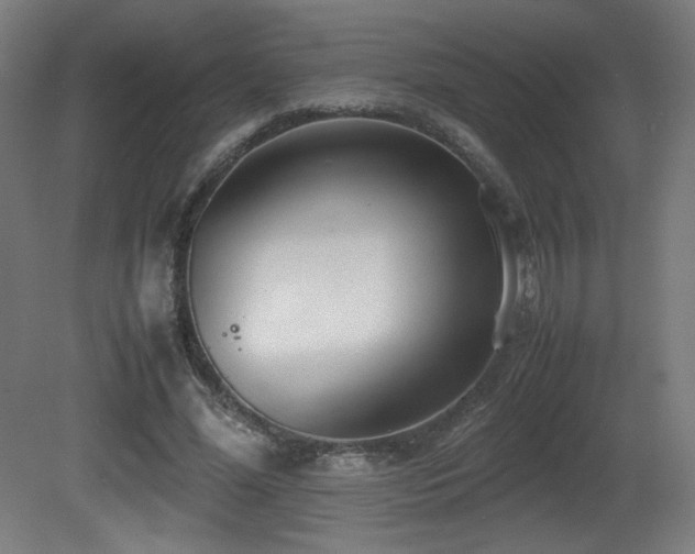 X0000081370588200701111550