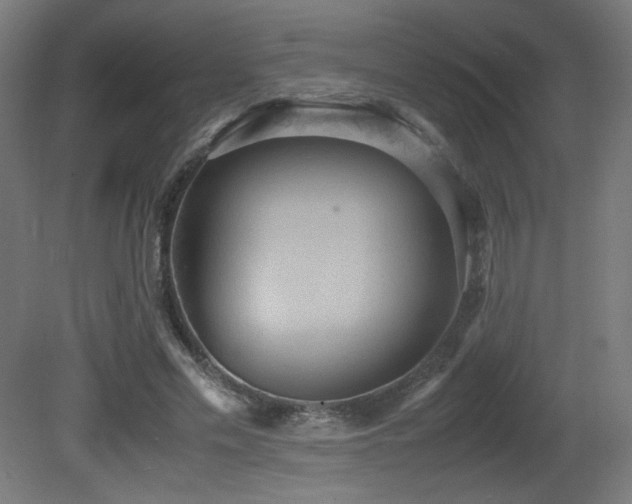 X0000081370589200701111550