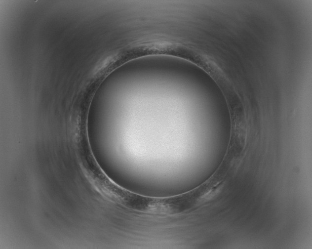 X0000081370591200701111550