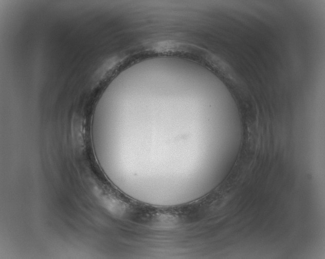 X0000081370592200701111550