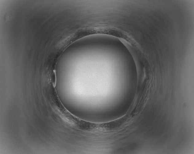 X0000081370593200701111550