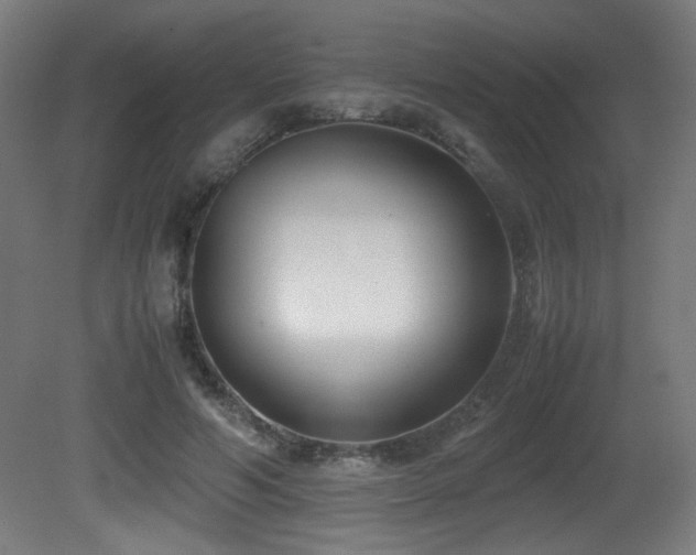 X0000081370594200701111550