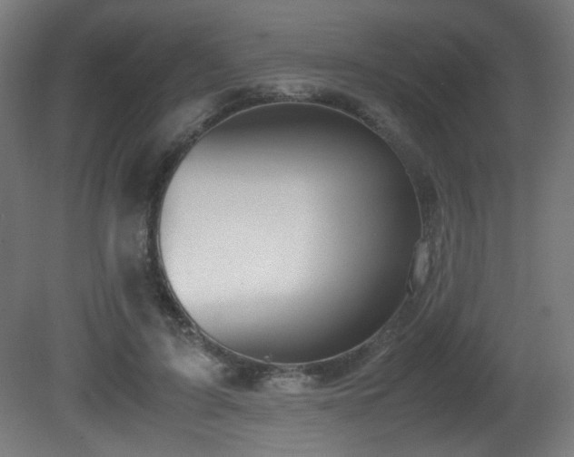 X0000081370595200701111550