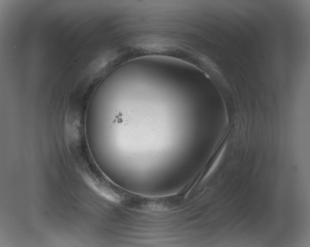 X0000081370596200701111550
