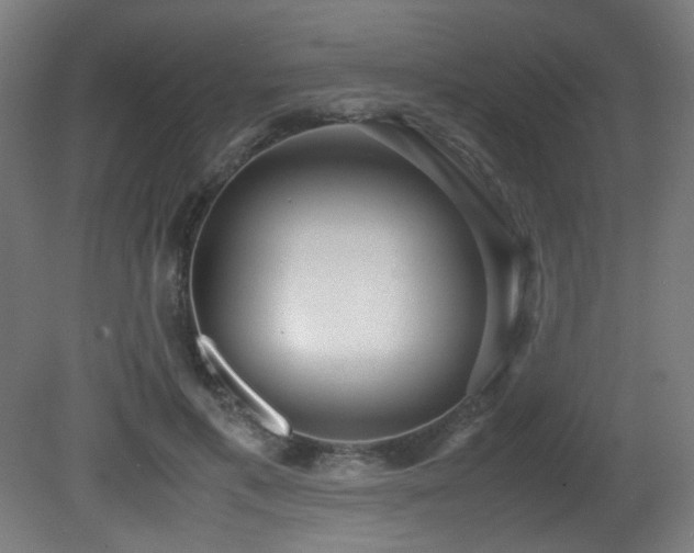 X0000081370597200701111550