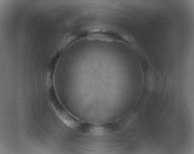 X0000081370598200701111550