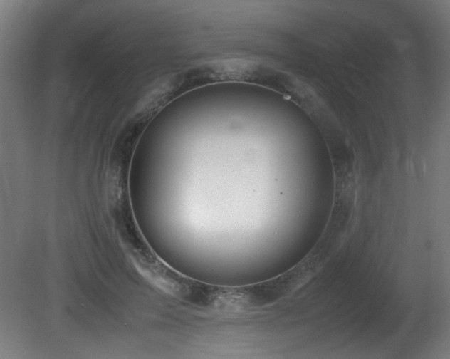 X0000081370599200701111550