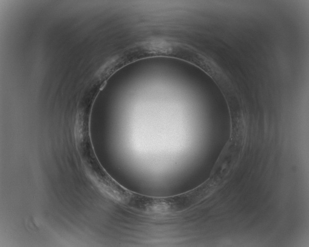 X0000081370600200701111550