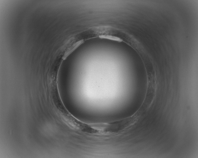 X0000081370601200701111550