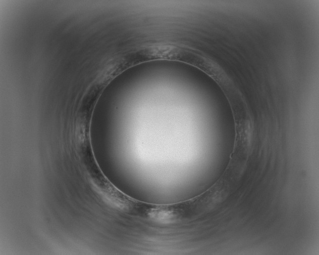 X0000081370602200701111550