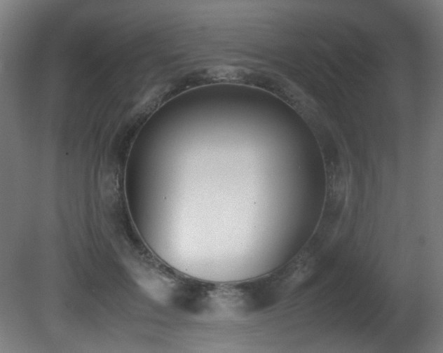 X0000081370603200701111550