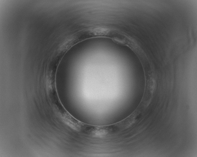 X0000081370604200701111550