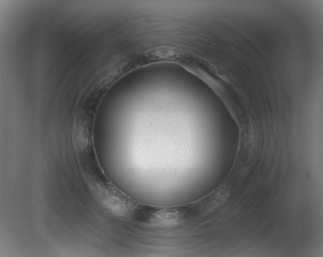 X0000081370606200701111550
