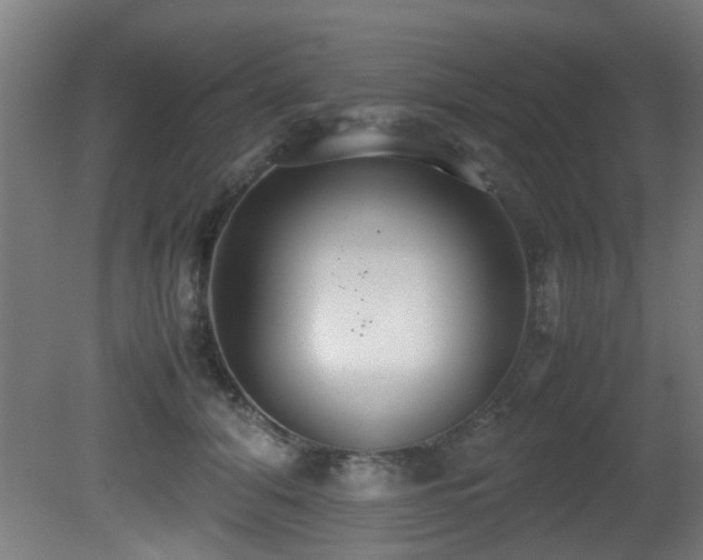 X0000081370608200701111550