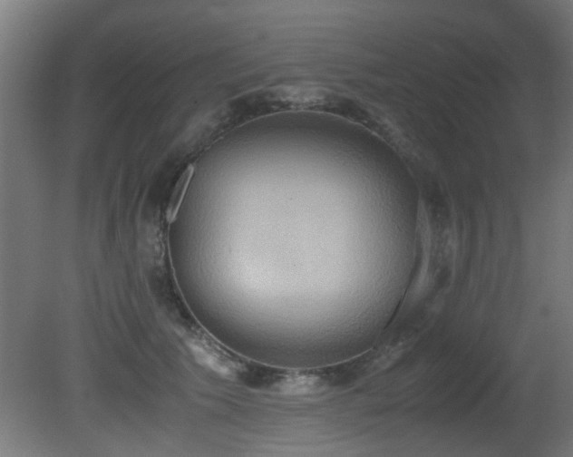 X0000081370609200701111550