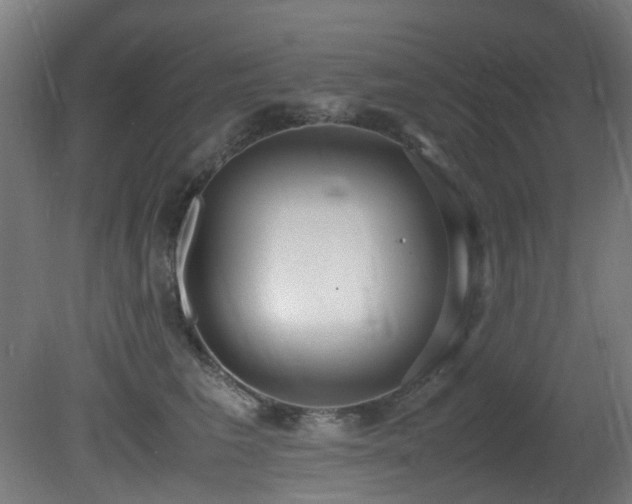X0000081370613200701111549