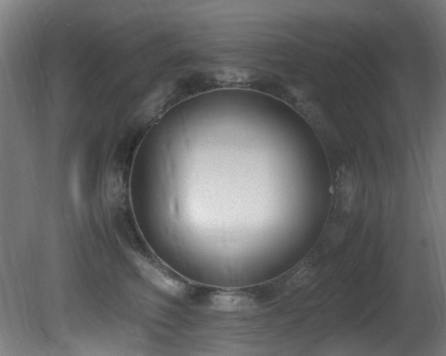 X0000081370614200701111549
