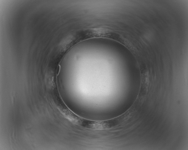 X0000081370615200701111549