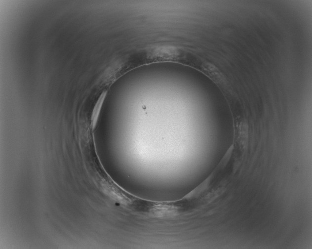 X0000081370617200701111549