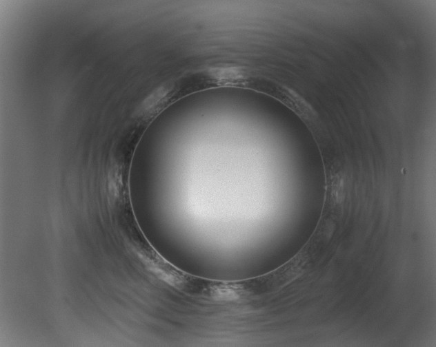 X0000081370618200701111549