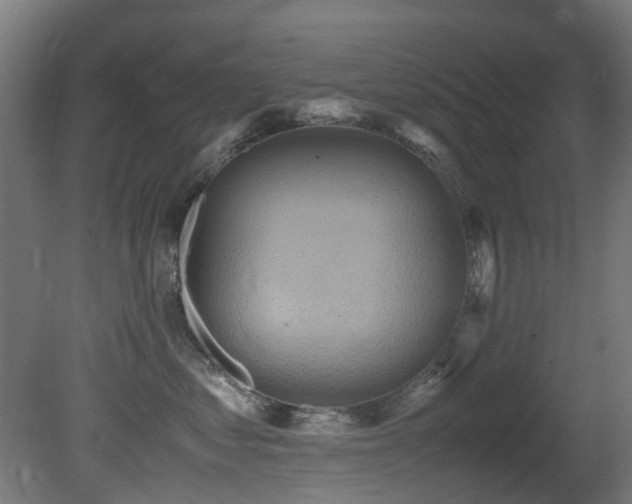 X0000081370621200701111549