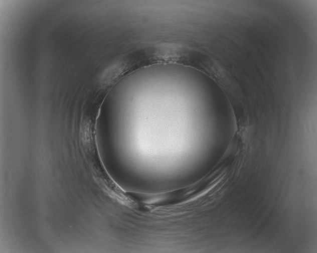 X0000081370623200701111549