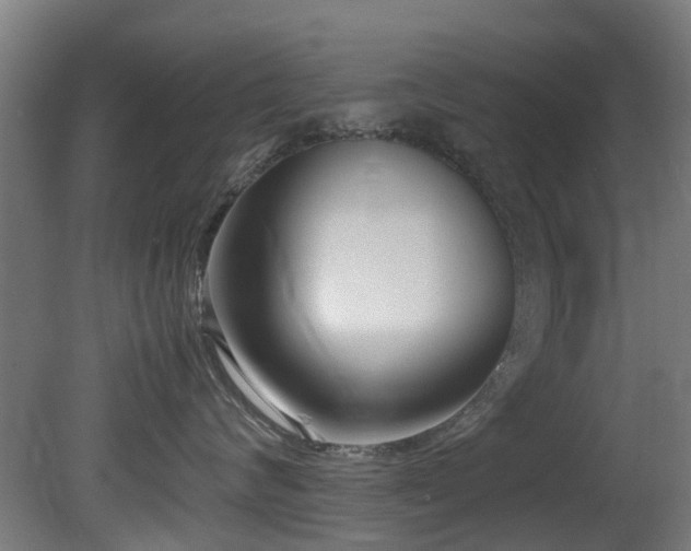 X0000081370624200701111549