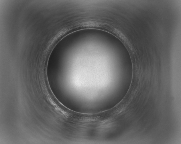 X0000081370625200701111548
