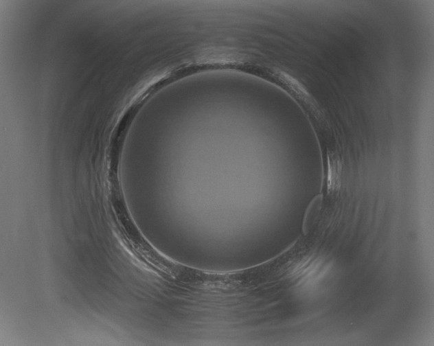 X0000081370627200701111548
