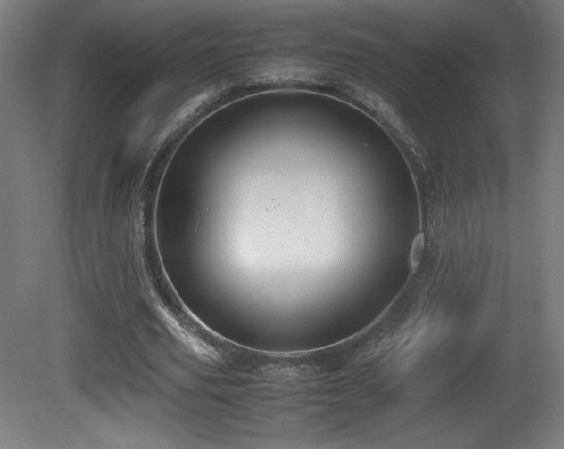 X0000081370629200701111549
