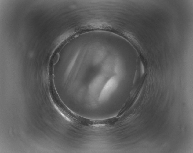 X0000081370630200701111549