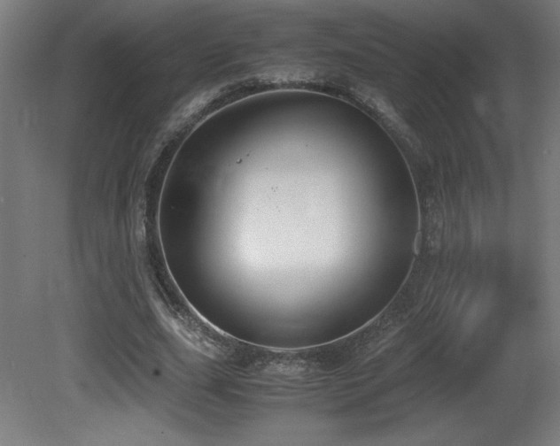 X0000081370631200701111549