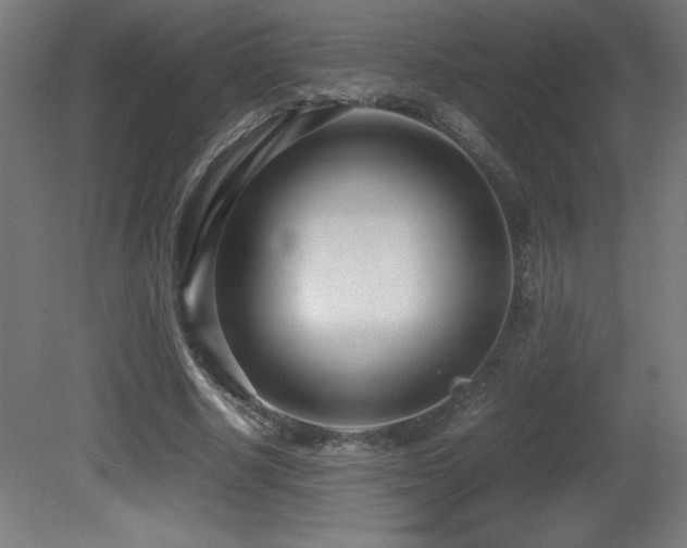 X0000081370634200701111549
