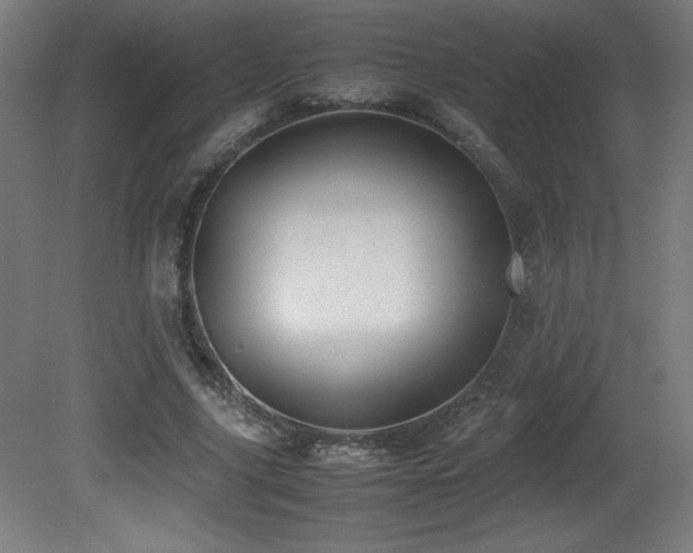 X0000081370635200701111549
