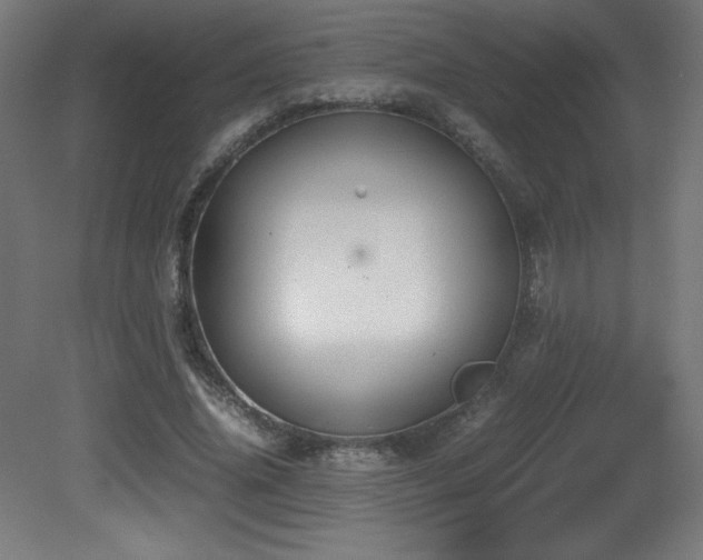 X0000081370636200701111549