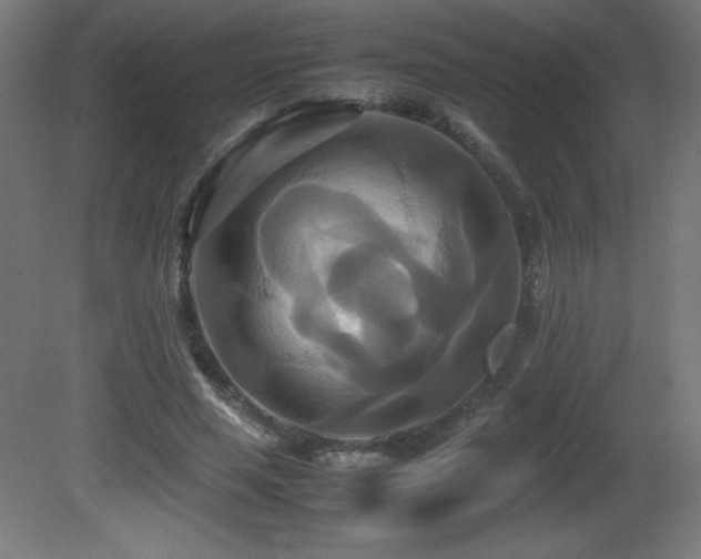 X0000081370637200701111549