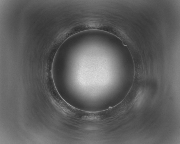 X0000081370639200701111549