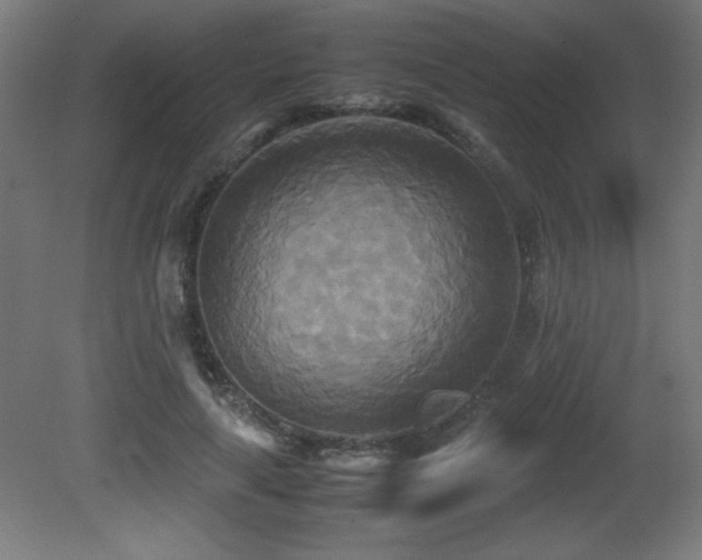 X0000081370643200701111549