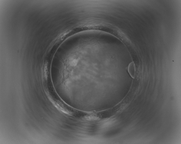X0000081370644200701111549