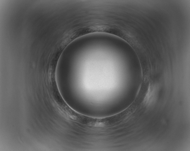 X0000081370647200701111549