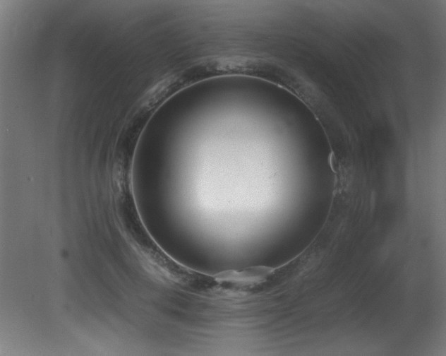 X0000081370648200701111549