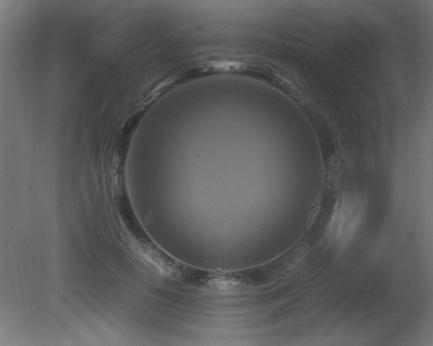 X0000081370650200701111549