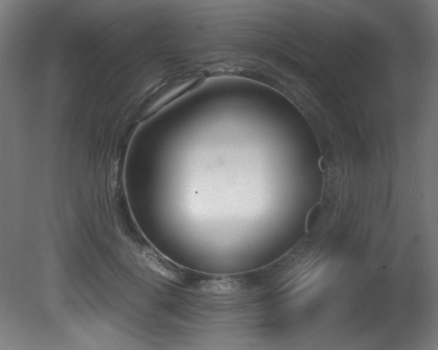 X0000081370652200701111549
